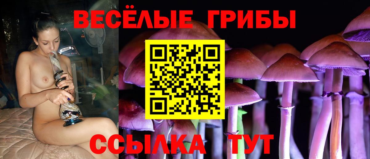 Галлюциногенные грибы Psilocybe  Вход с VPN  наркотики  Новороссийск  Псилоцибиновые грибы Psilocybe 