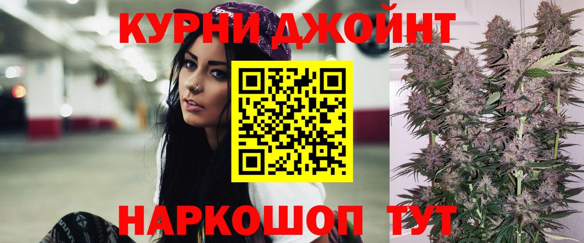 Бошки Шишки планчик Новороссийск